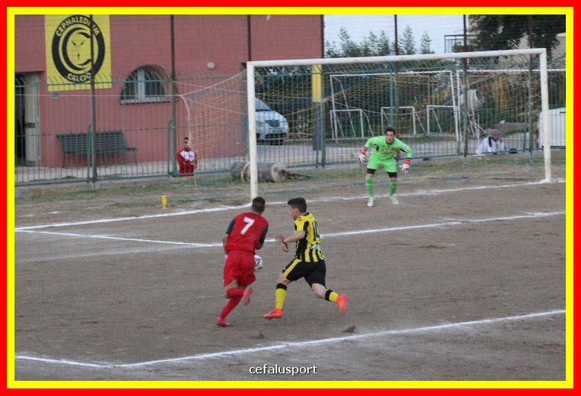 181111 Cepha_Milazzo 269_tn.JPG